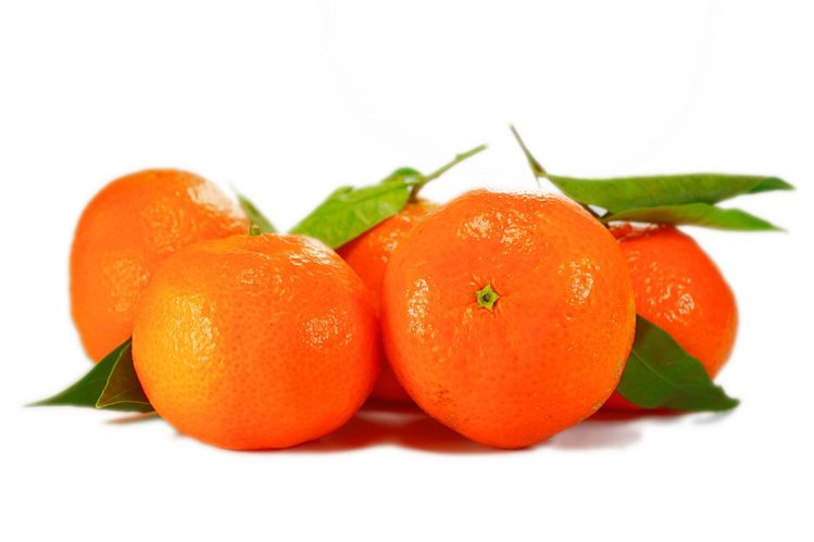 संतरे में मौजूद विटामिन-सी सर्दी-जुकाम के रोगाणुओं से लड़ता है